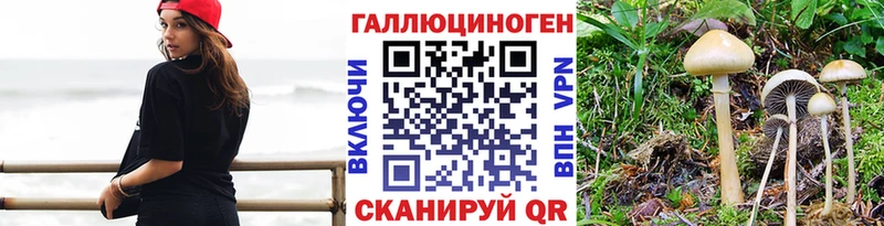 Галлюциногенные грибы прущие грибы  Данков 