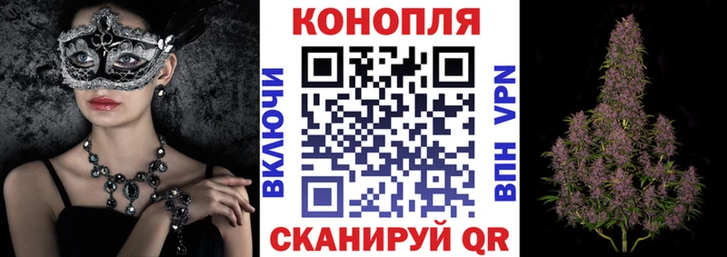darknet Telegram  Данков  Каннабис индика 
